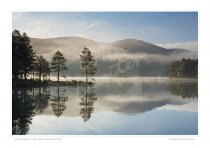 Loch an Eilein, Cairngorms National Park Print