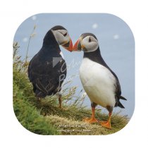 Atlantic Puffin Pair Coaster