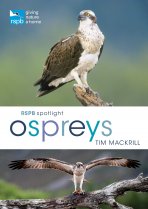 RSPB Spotlight: Ospreys (Jul)