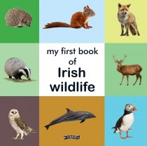 My First Book of Irish Wildlife (O'Brien) (Apr)