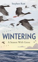 Wintering:A Season With Geese (Oct)