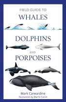 Field Guide to Whales, Dolphins & Porpoises (Apr22)