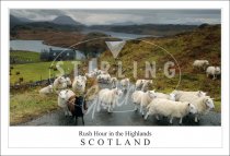 Rush Hour in the Highlands - Scotland Postcard (H SG)