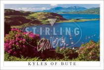 Kyles of Bute Postcard (H SG)