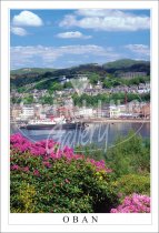 Oban, to McCaigs Tower Postcard (V SG)