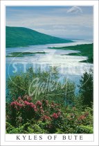 Kyles of Bute Postcard (V SG)