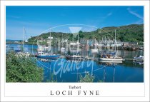 Tarbert, Loch Fyne, Bruce Stronghold Postcard (H SG)