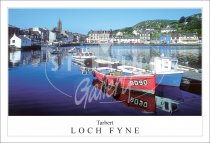 Tarbert, Loch Fyne Postcard (H SG)