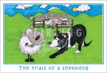 Trials of a Sheepdog, cartoon Postcard (H SG)