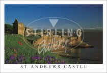 St Andrews Castle, Summer flowers Postcard (H SG)