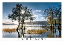 Loch Lomond, Sun Burst, Autumn Postcard (H SG)