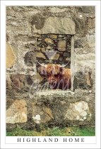 Highland Home, Highland Cow Postcard (V SG)