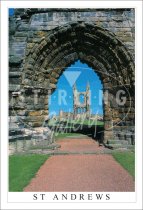 Arch View, Cathedral, St Andrews Postcard (V SG)