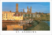 Harbour, St Andrews Postcard (H SG)