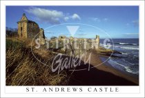 St Andrews Castle Postcard (H SG)