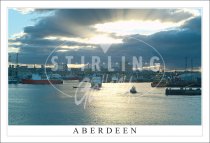 Aberdeen Harbour, Evening Light Postcard (H SG)