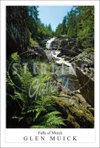 Falls of Muick - Glen Muick Postcard (V SG)