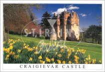 Craigievar Castle, Daffodils Postcard (H SG)