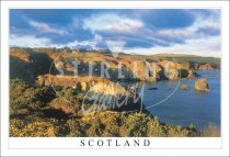 Cliffs & Stacks near Muchalls, Scotland Postcard (H SG)