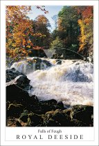 Falls of Feugh - Royal Deeside Postcard (V SG)