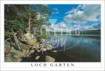 Loch Garten - Speyside Postcard (H SG)