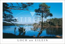 Loch an Eilein, Rothiemurchus Postcard (H SG)