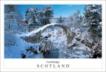 Carrbridge - Scotland, Snow Postcard (H SG)