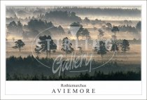 Rothiemurchus - Aviemore, Forest Postcard (H SG)