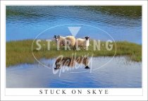 Stuck on Skye Postcard (H SG)