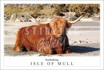 Sunbathing - Isle of Mull, Highland Cow Postcard (H SG)