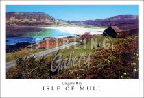 Calgary Bay, Springtime, Isle of Mull Postcard (H SG)