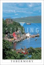 Tobermory Bay Postcard (V SG)