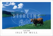 Highland Cow, Loch Tuath, Isle of Mull Postcard (H SG)