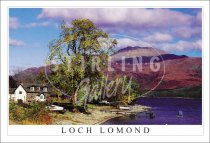 Ben Lomond from the Shore - Loch lomond Postcard (H SG)