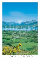 Loch lomond, from Duncryne Hill Postcard (V SG)