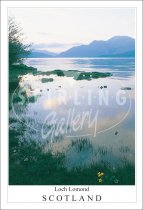 Loch Lomond - Scotland, Springtime Postcard (V SG)