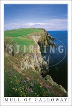 Mull of Galloway, Floral Postcard (V SG)