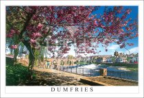 Dumfries,River Nith & Devorgilla Bridge, Whitesands Postcard (H SG)