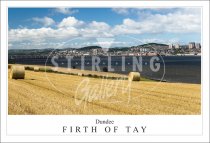 Dundee - Firth of Tay Postcard (H SG)