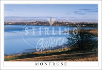 Montrose Postcard (H SG)