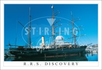 R.R.S Discovery Postcard (H SG)