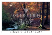 Birks O' Aberfeldy, Autumn Postcard (H SG)