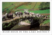 Rush Hour in the Lake District Postcard (H SG)