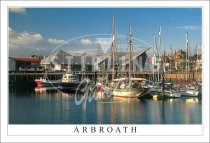 Arbroath Harbour Postcard (H SG)