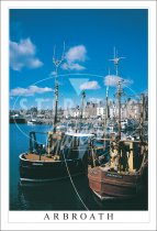 Arbroath, Harbour Postcard (V SG)