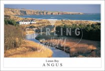 Lunan Bay - Angus Postcard (H SG)