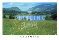 Grasmere, Springtime field Postcard (H SG)