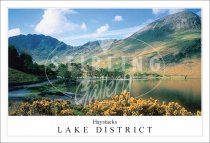 Buttermere, Haystacks - Lake District Postcard (H SG)