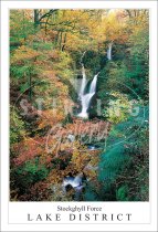 Stockghyll Force - Lake District Postcard (V SG)