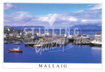 Mallaig, Rum & Eigg from harbour Postcard (H SG)